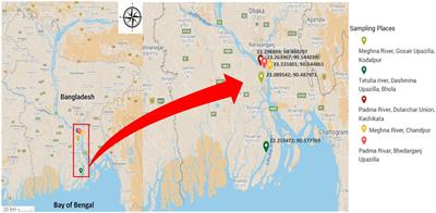 Abundance and biofilm formation capability of Vibrio cholerae in aquatic environment with an emphasis on Hilsha fish (Tenualosa ilisha)